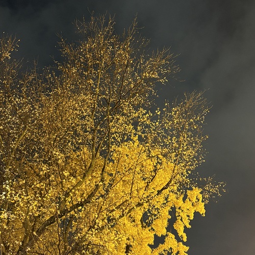Photo #13816564