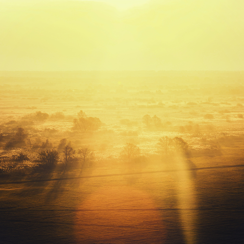 Photo #13816660
