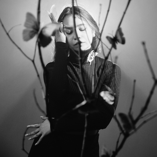 Photo #13816671