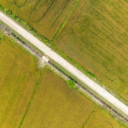 Photo #13816701