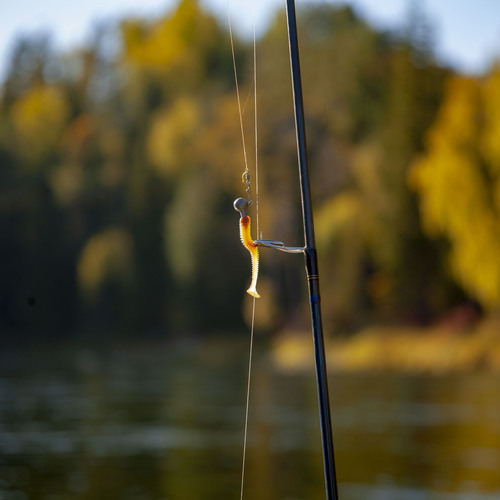 Photo #13816856