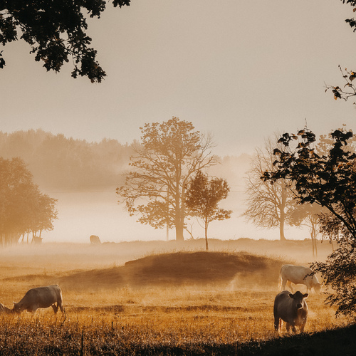 Photo #13816896