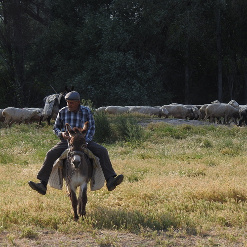 Photo #13816962