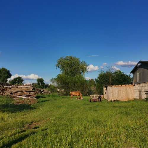 Photo #13817035