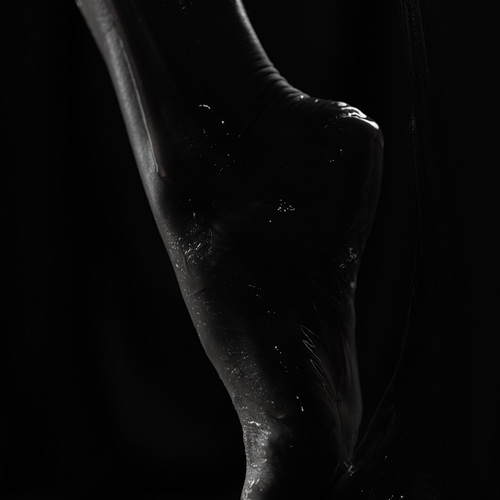 Photo #13817040