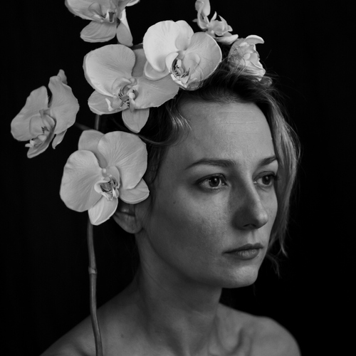 Photo #13817076