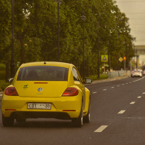 Photo #13817086