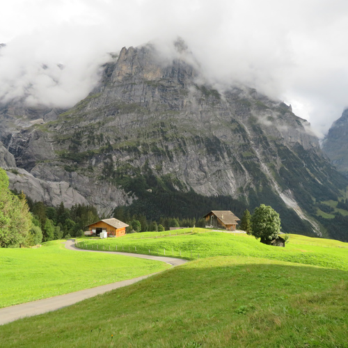 Alpine village in mountain meadow