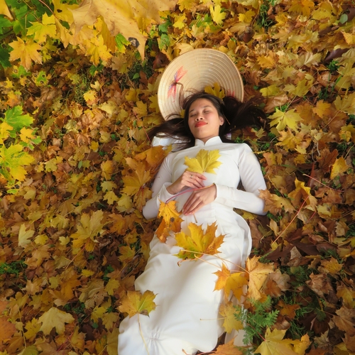 Woman in white Ao Dai lying on yellow autumn yellow leaves