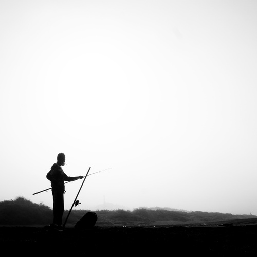 Photo #13817308