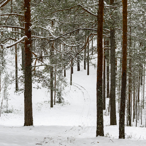Photo #13817505