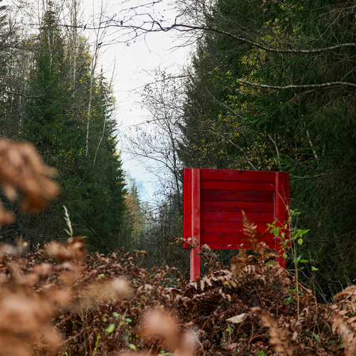 Photo #13817511