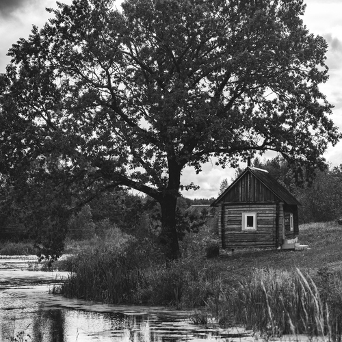 Photo #13817642