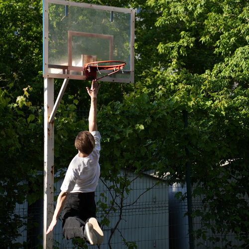 Photo #13817798