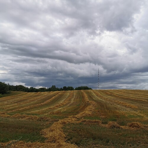 Photo #13817812