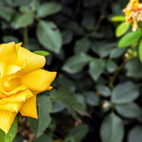 Photo #13817974
