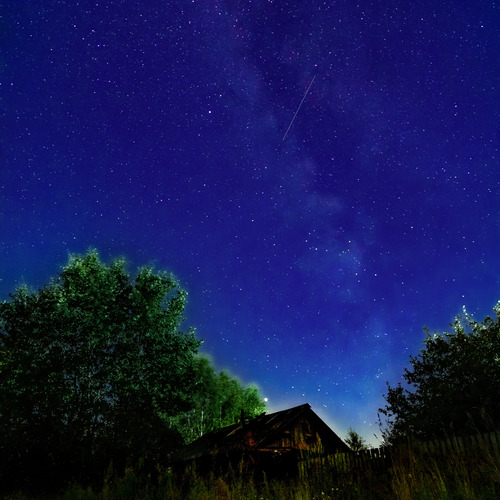 Photo #13817999