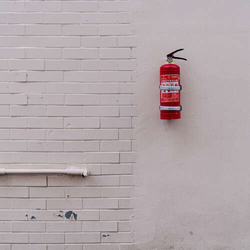 Photo #13818004