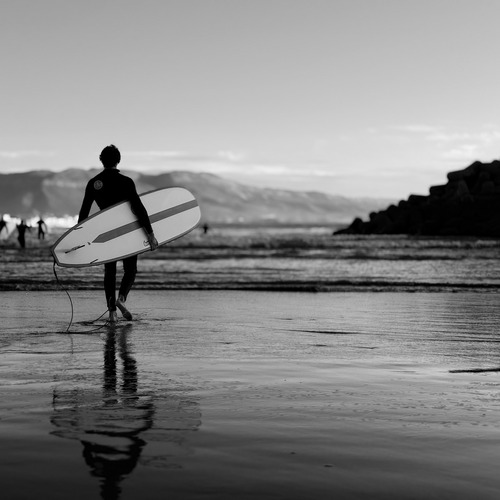 Photo #13818181