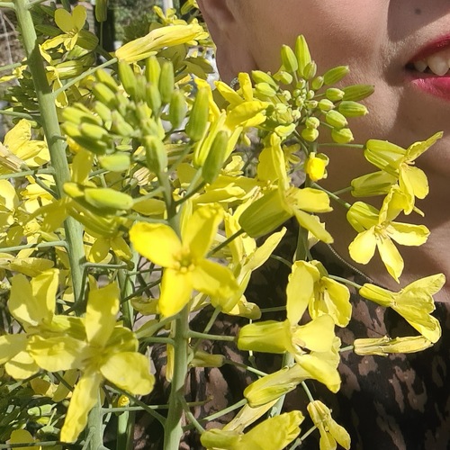 Photo #13818309