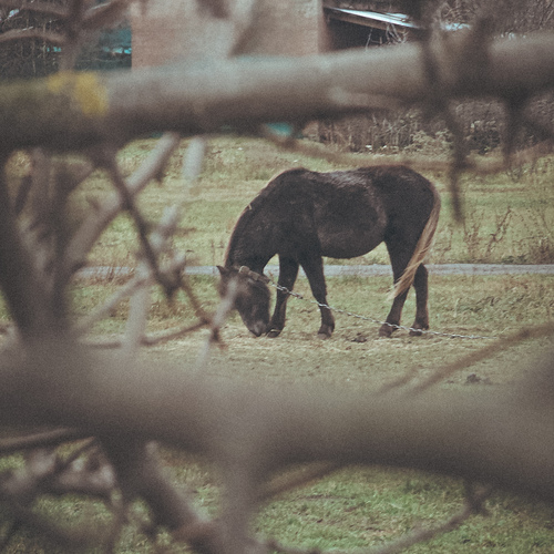 Photo #13818358
