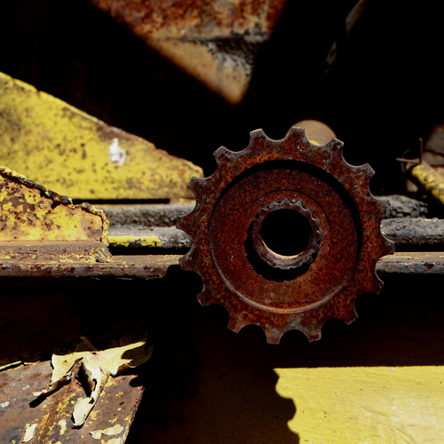 Photo #13818490