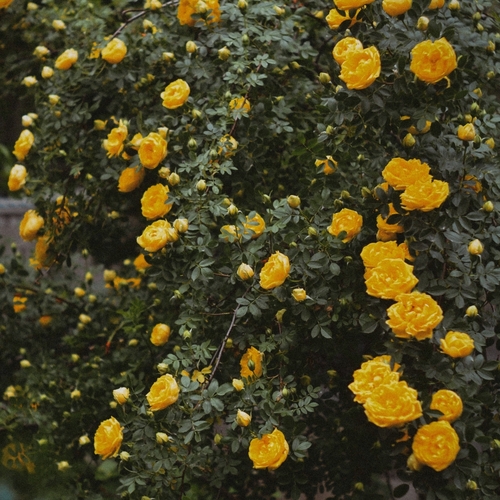Photo #13818507