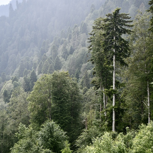 Photo #13818564