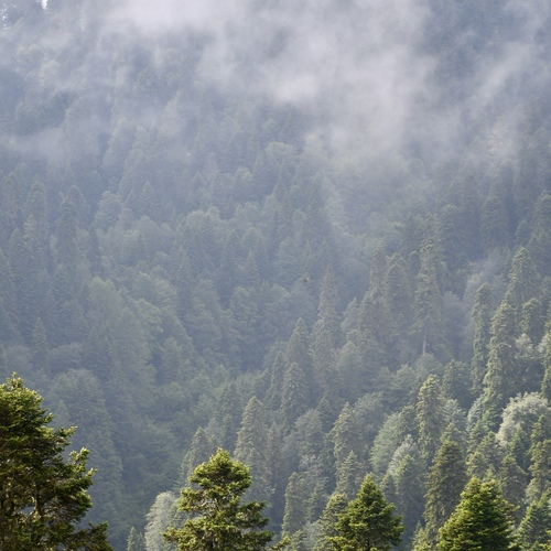 Photo #13818566