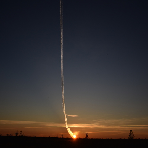 Photo #13818706