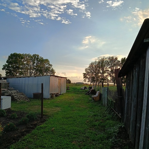 Photo #13818783