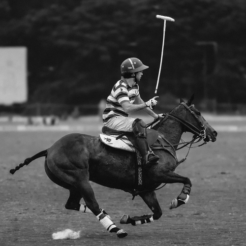 \"Where balance defies velocity\"