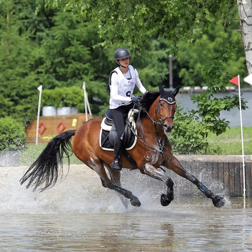 Photo #13819079