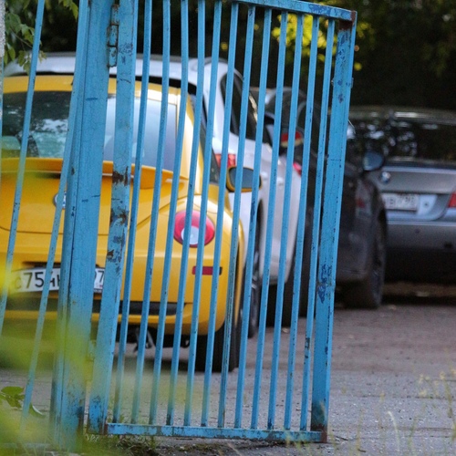 Photo #13819232