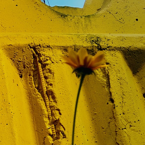Photo #13819323