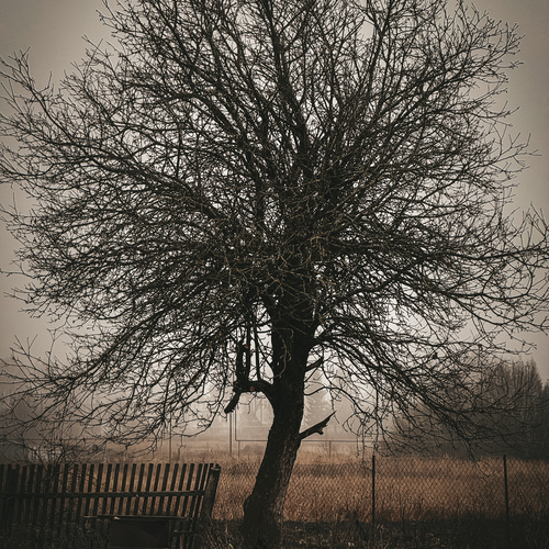 Photo #13819428