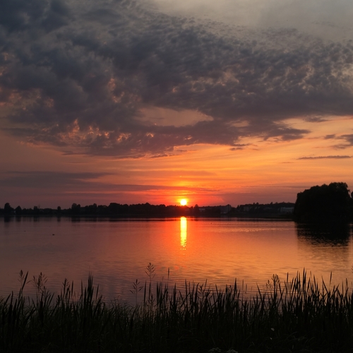 Photo #13819657