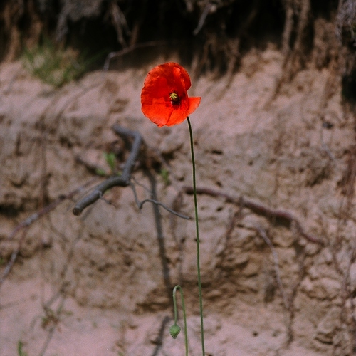Photo #13819726