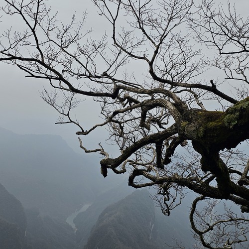 Photo #13819727