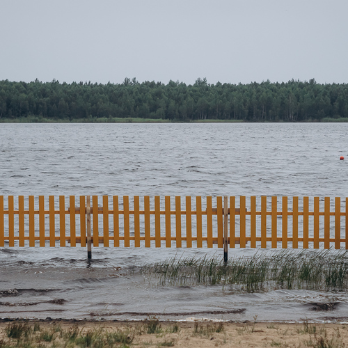 Photo #13819809