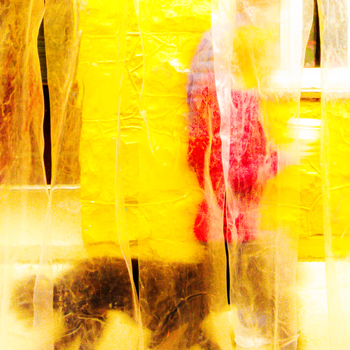 Photo #13819944