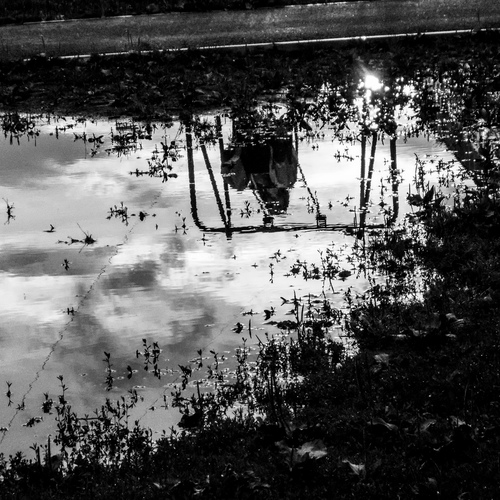 Photo #13819952