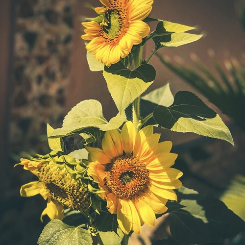 Photo #13820025