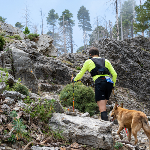 Photo #13820060