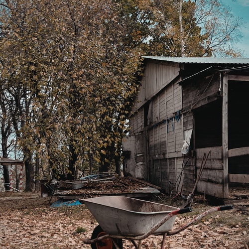 Photo #13820061