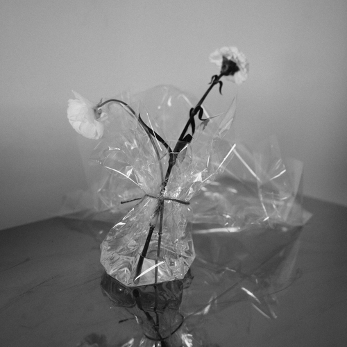 Photo #13820203
