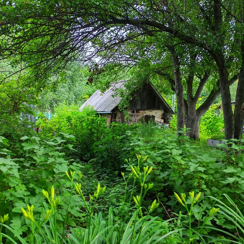 Старый домик