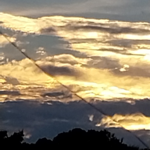 Photo #13820251