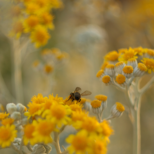 Photo #13820436