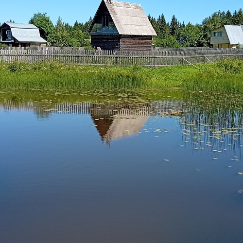 Photo #13820553